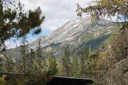 23 - Athabasca Falls - IMG_1080